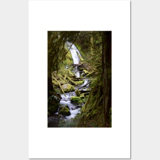 Woodsy Waterfall in the Hoh Rainforest Posters and Art